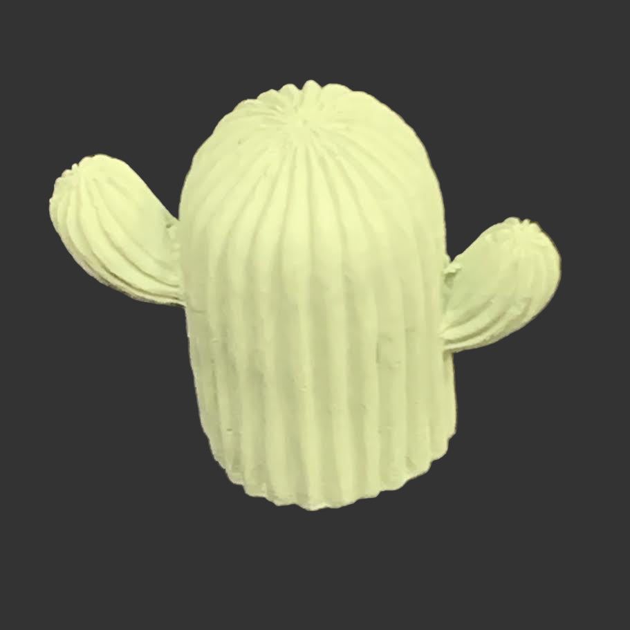 AC Pottery Cactus