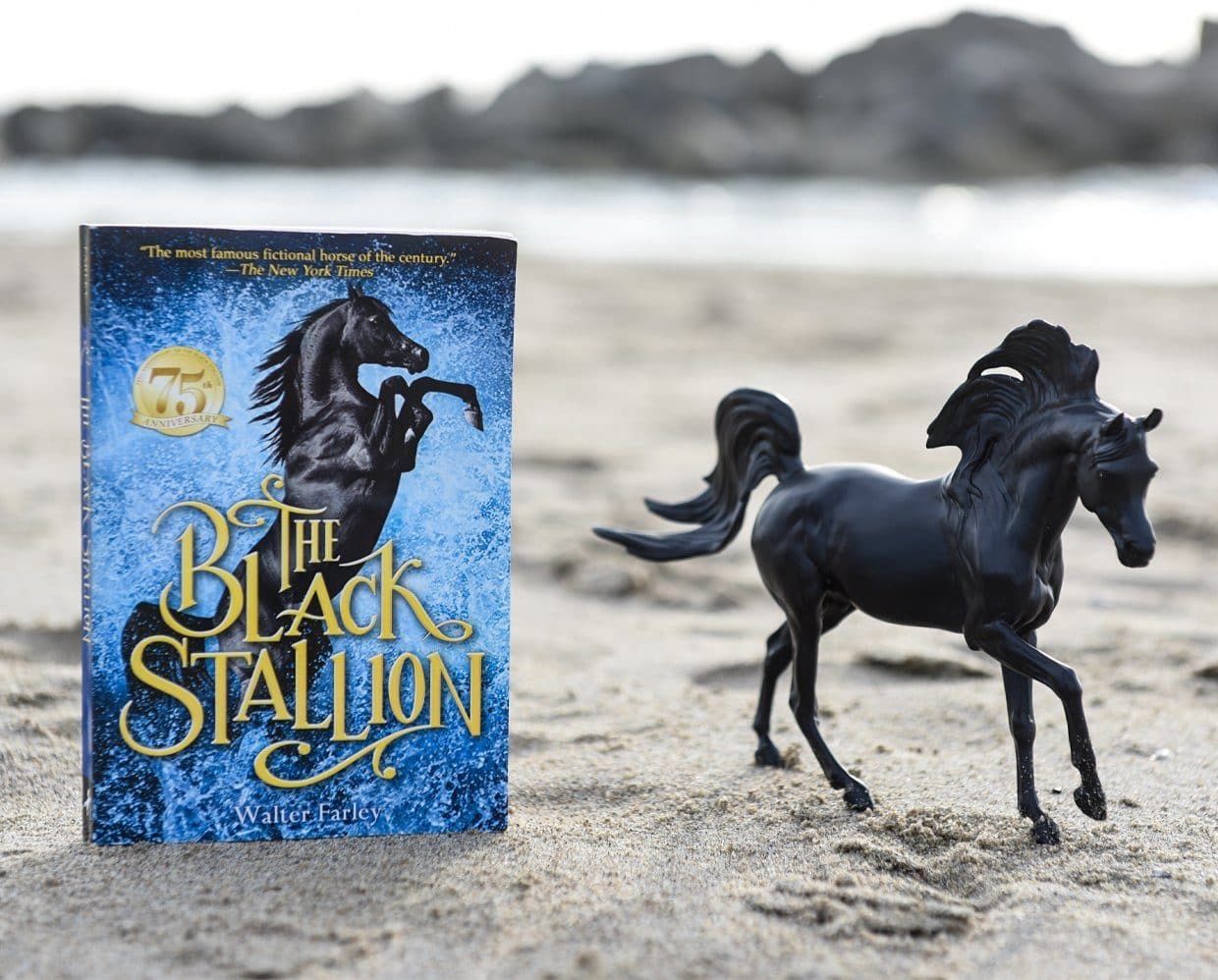 BREYER Black Stallion Horse &amp; Book Set