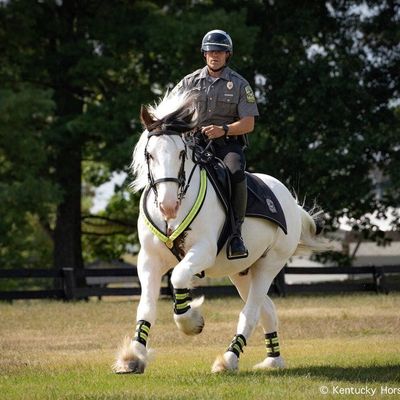 BREYER Hytyme Legend - KHP Mounted Police Horse