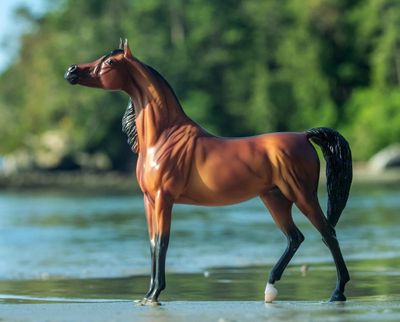 BREYER RD Marciea Bey - Champion Arabian Mare