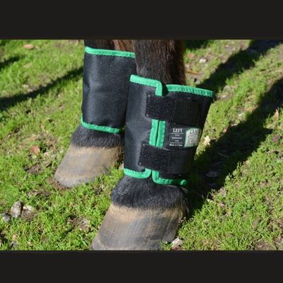 Fetlock Shield