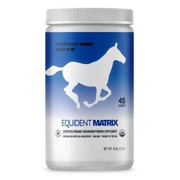 Eq Equident Matrix Dental 450 g
