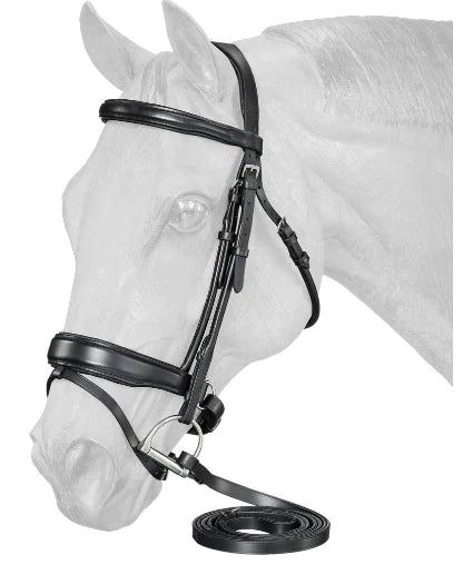 Equiroyal Cadance Dressage Bridle