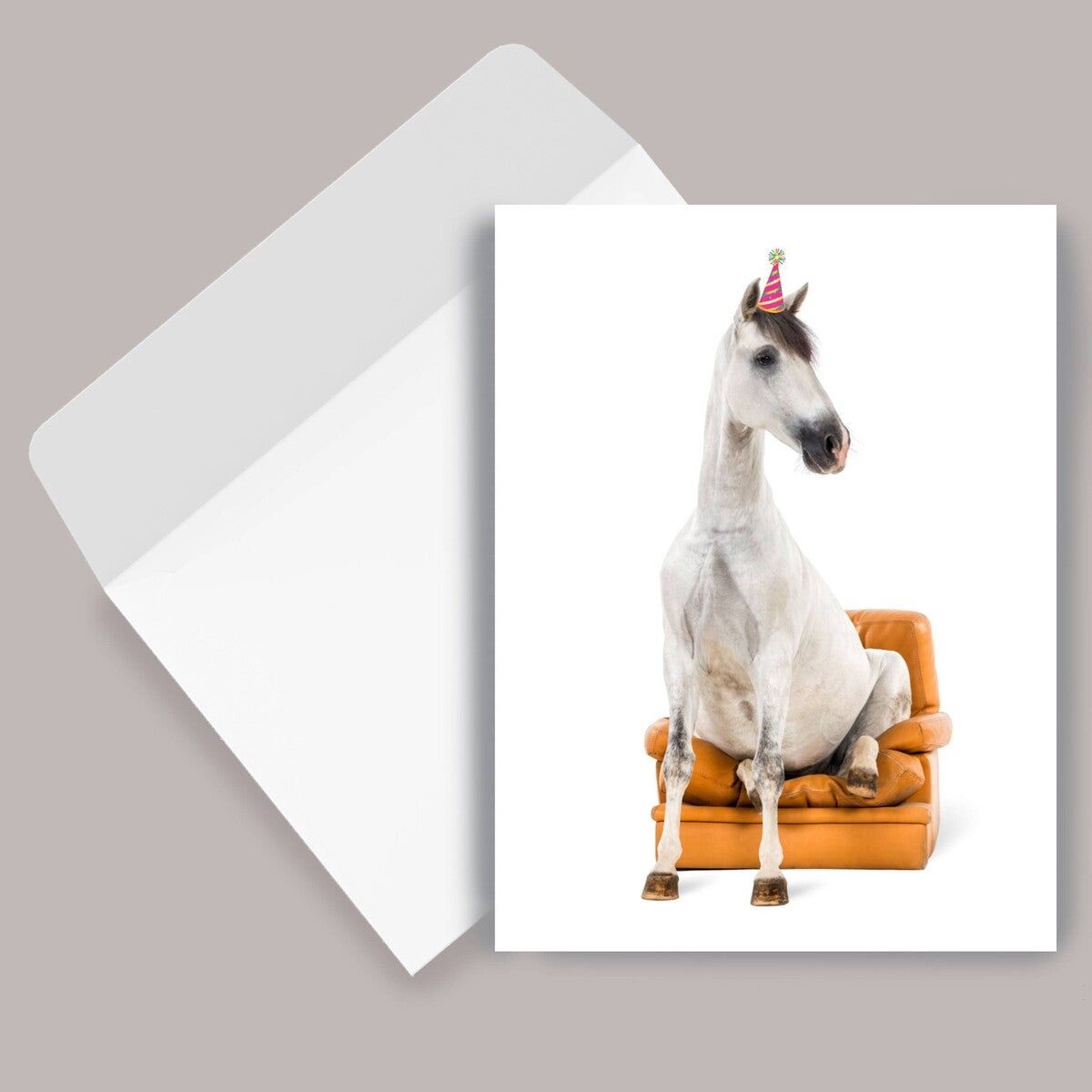 Horse Birthday Card: Horse Sitting