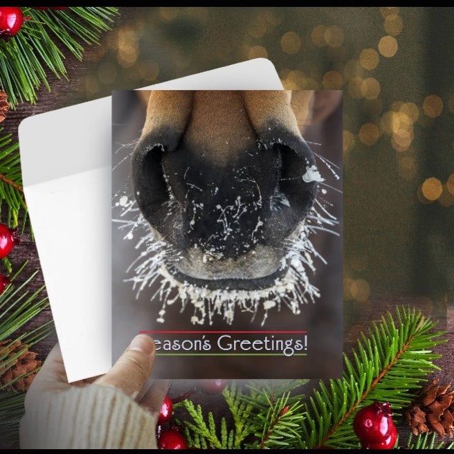 Horse Christmas Card - Frosty Nose