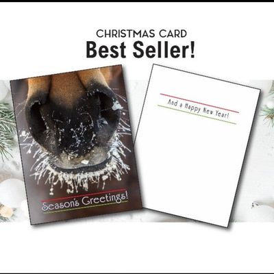 Horse Christmas Card - Frosty Nose