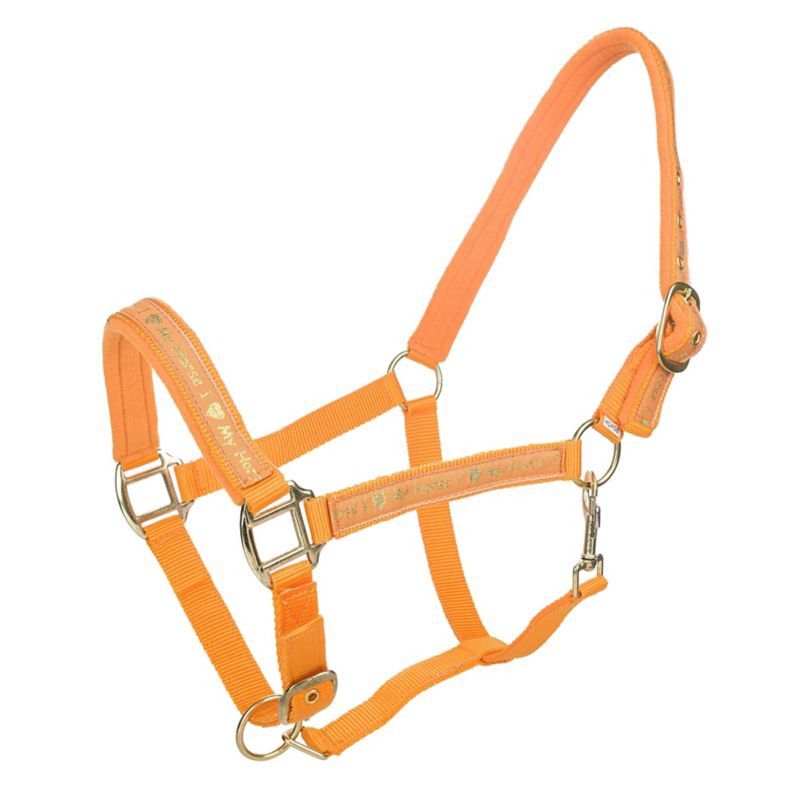 I Love My Horse Halter