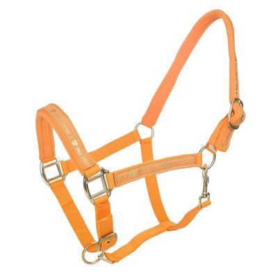 I Love My Horse Halter