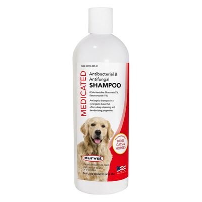Medicated Antibacterial &amp; Antifungal Shampoo 16 oz