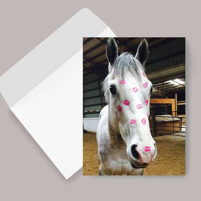 Horse Birthday Card: Horse Kiss