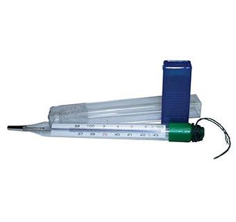 Mercury-free Thermometer