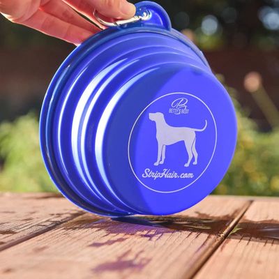 Collapsable Pet Bowl - 7" Blue Silicone