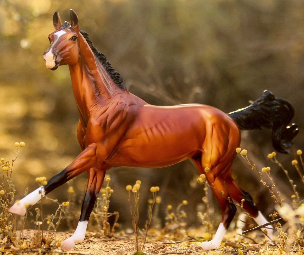 BREYER Adamek