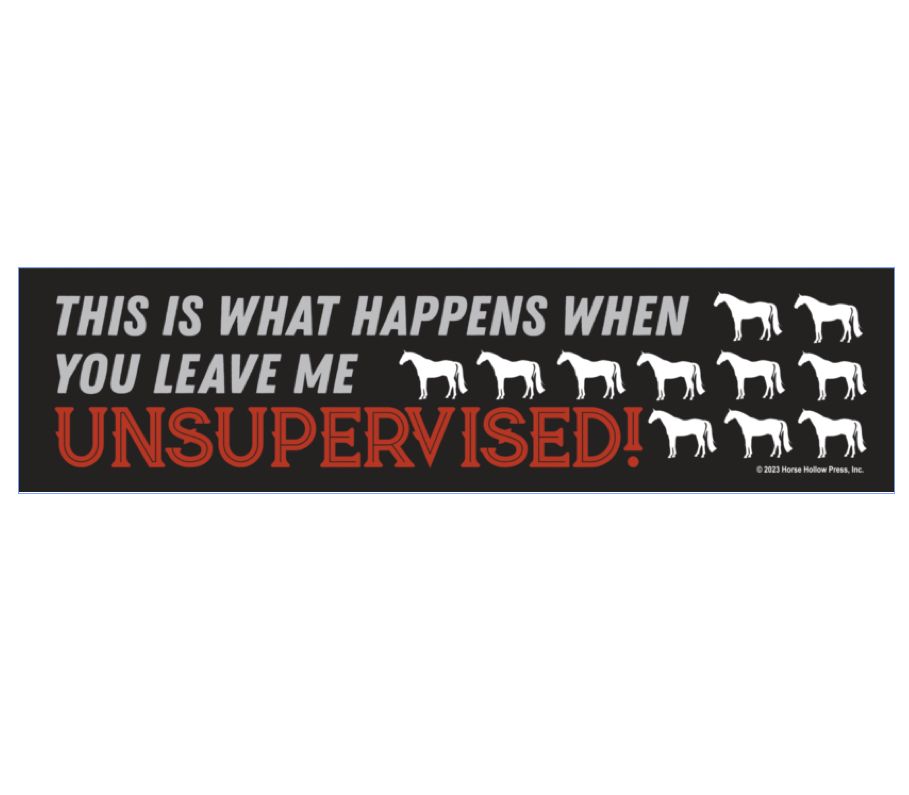 Bumper Sticker: This is what happens...