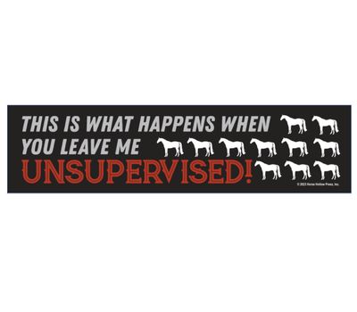 Bumper Sticker: This is what happens...