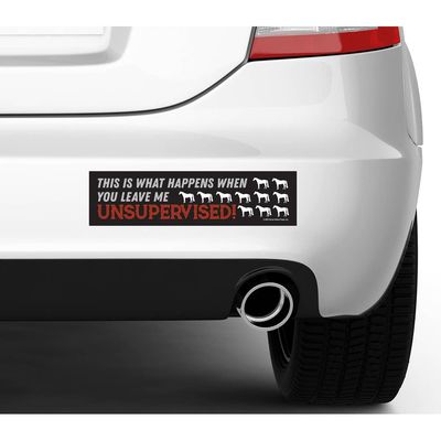 Bumper Sticker: This is what happens...