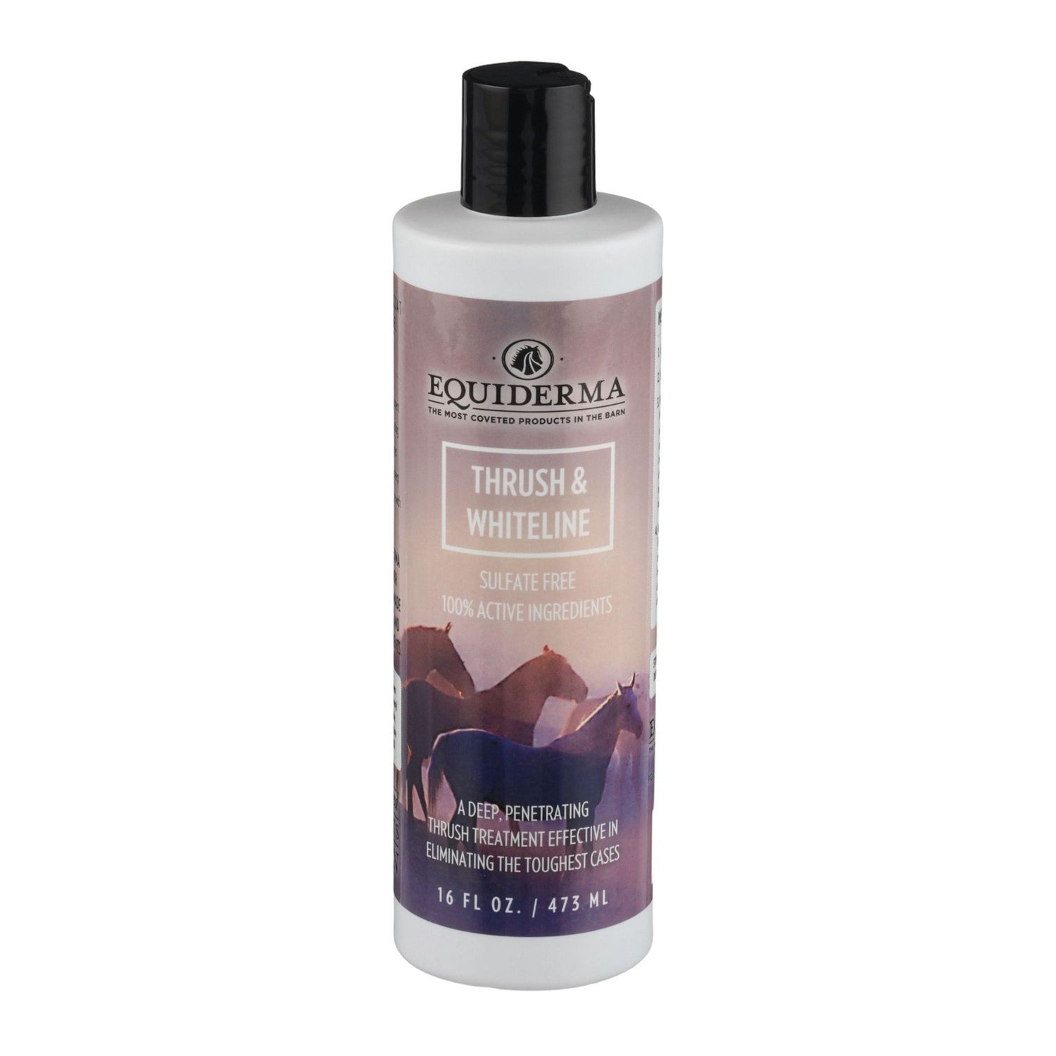 Equiderma Thrush &amp; Whiteline Treatment 16 oz