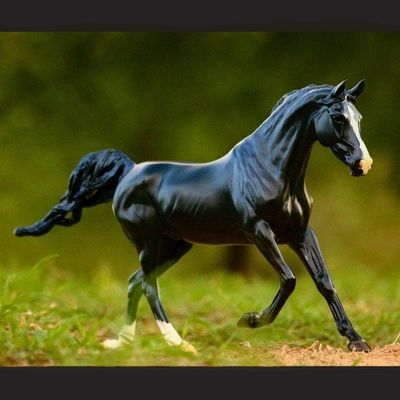 BREYER KB Omega Fahim