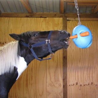 Carrot Ball