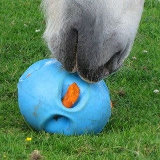 Carrot Ball