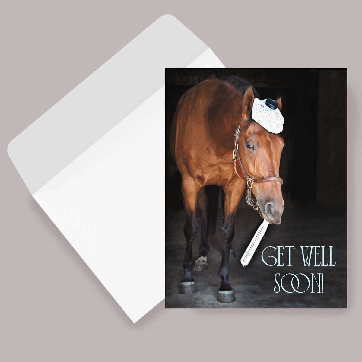 Get Well Card - Horse &amp; Thermometer