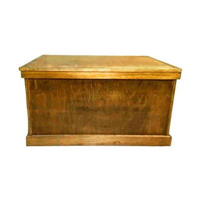 HorseHairz Equestrian Tack Trunk