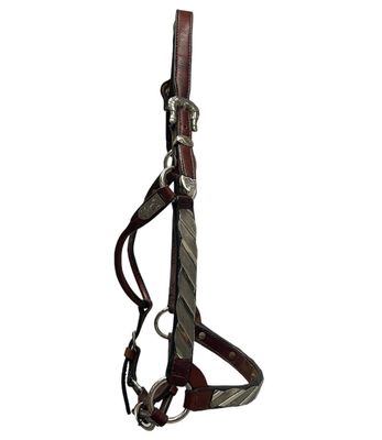KHS-C Cob show halter 4957