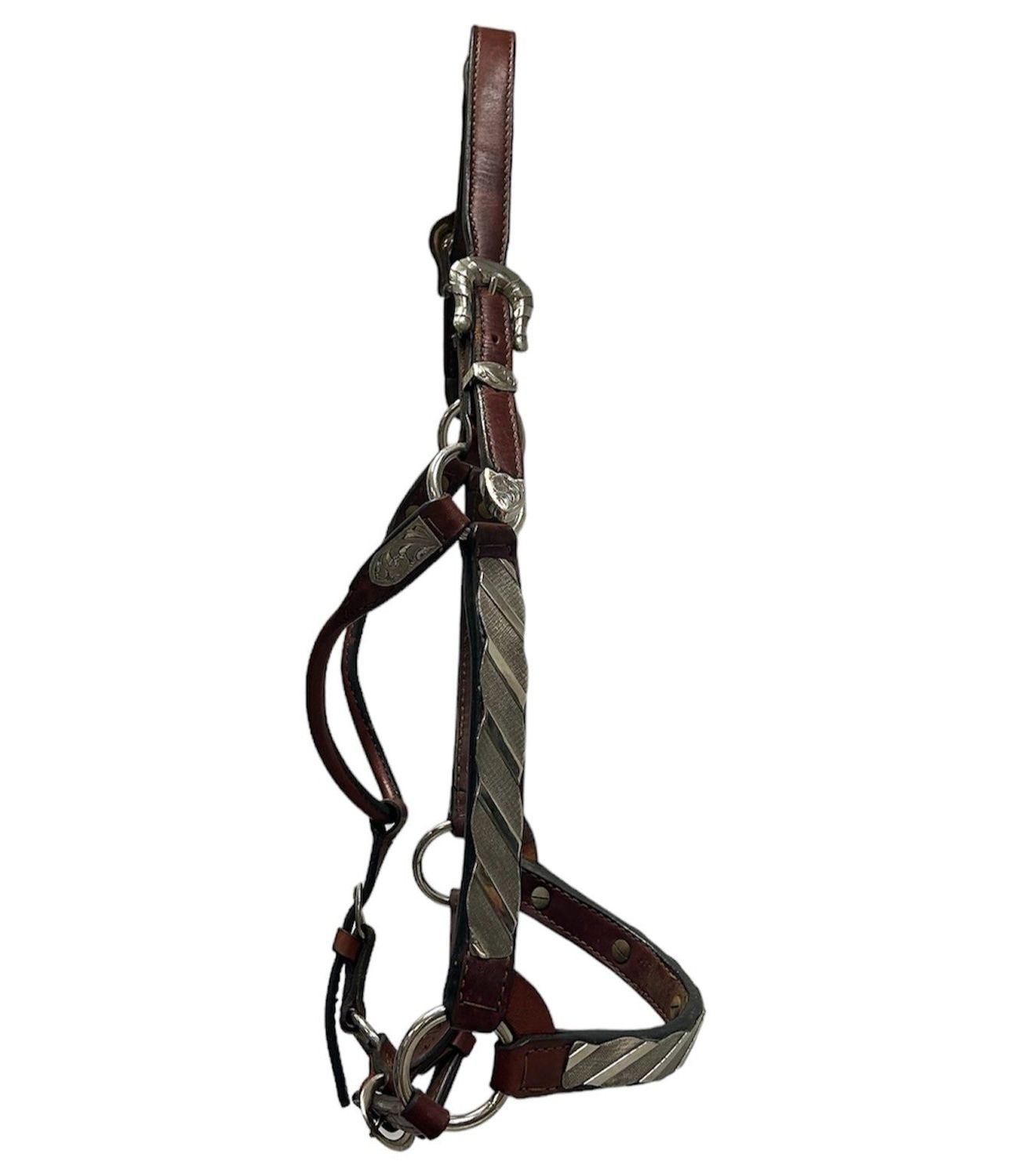 KHS-C Cob show halter 4957