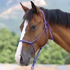 KHS-E Assorted Rope Halters