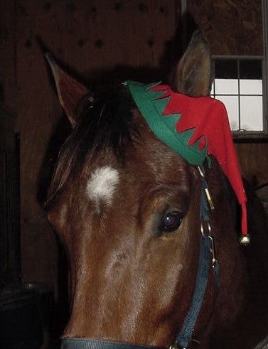 KHS-E Fabri-Tech Elf Cap