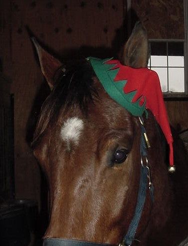 KHS-E Fabri-Tech Elf Cap