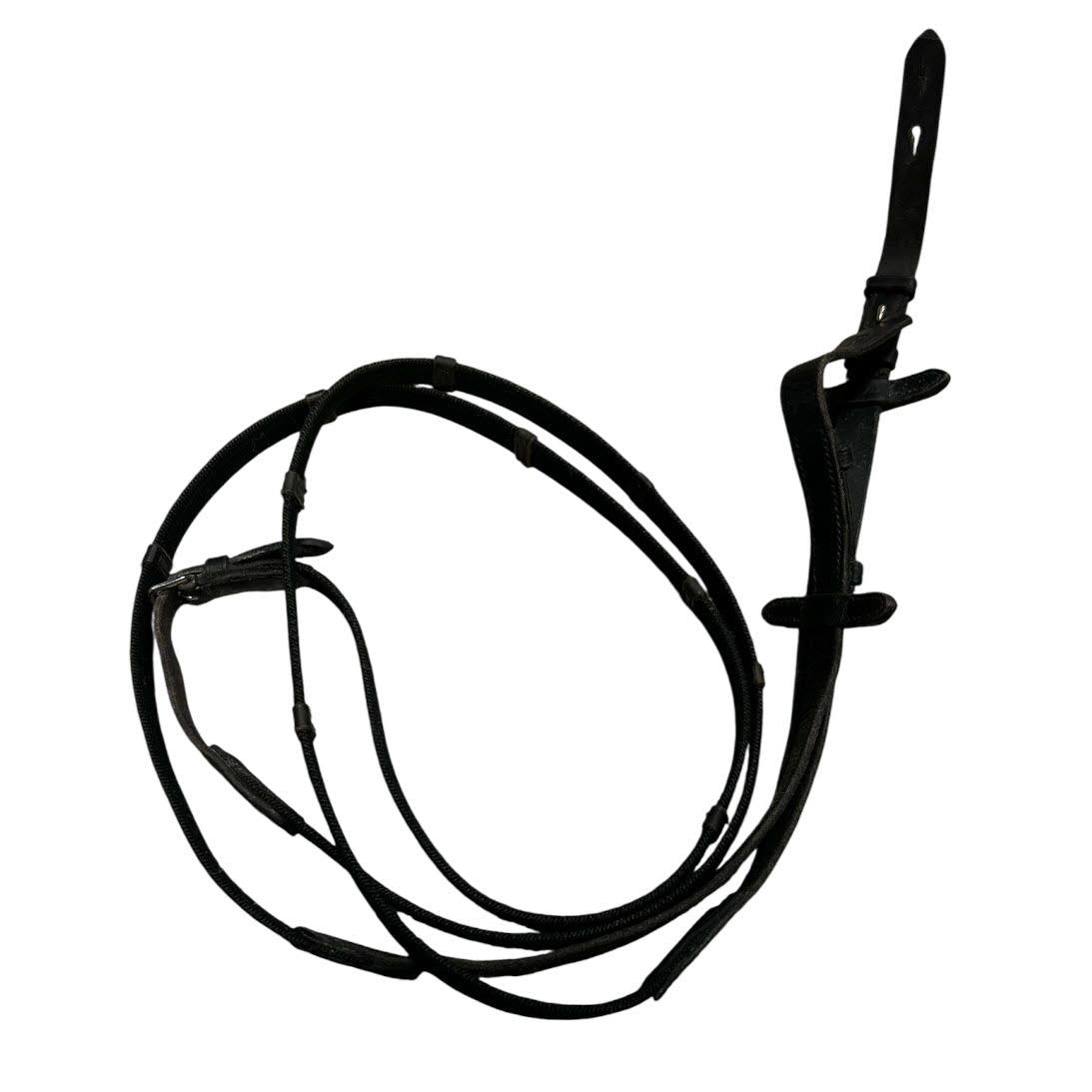 KHS-E Web Reins