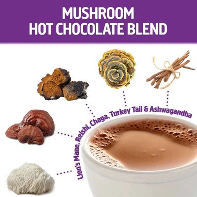 Om Mushroom Superfood - Om Mushroom Hot Chocolate Blend by Mushroom Matrix