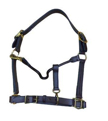 Perri’s® Havana Show Halter - Cob