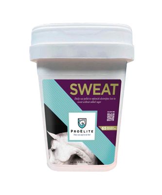 Sweat Supplement