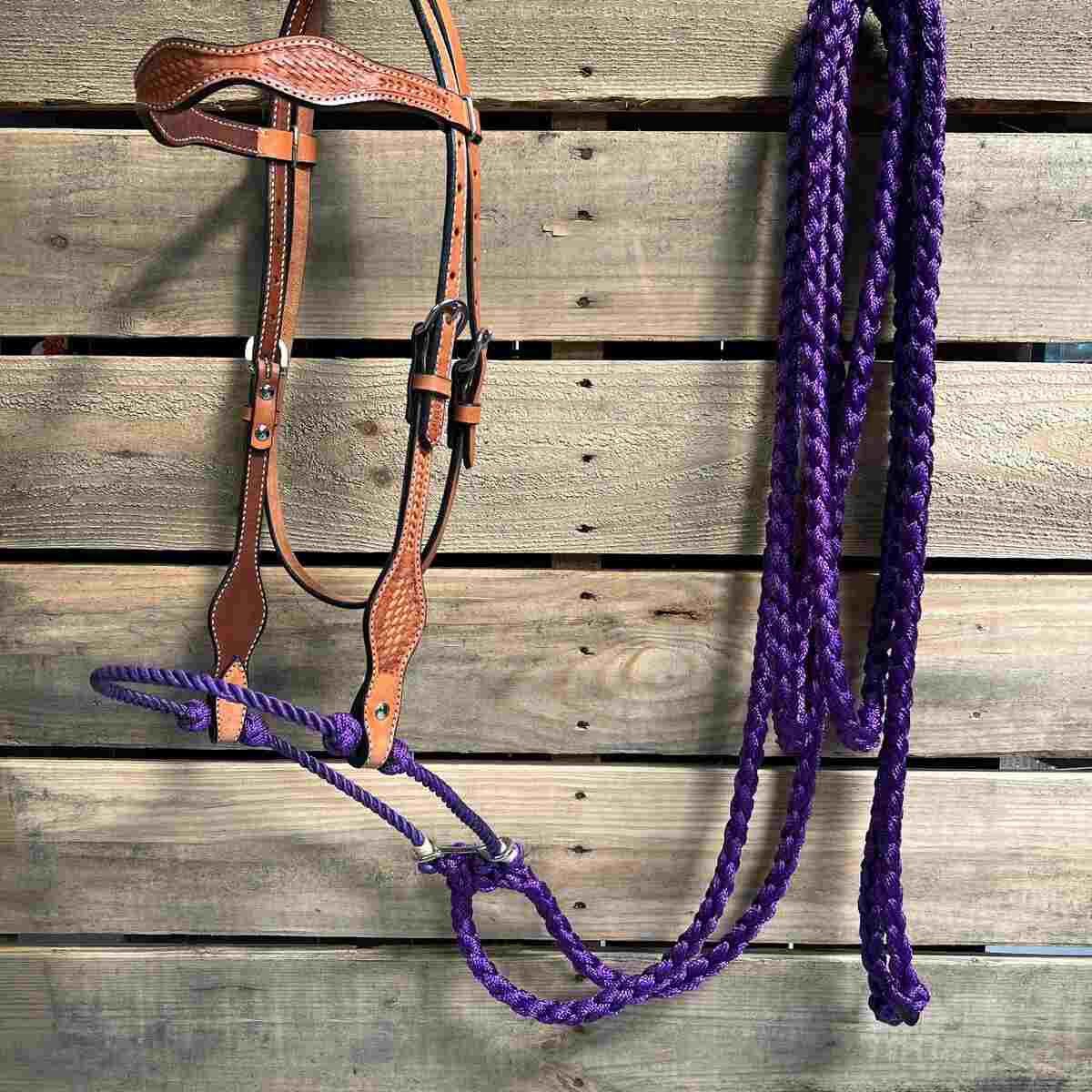 RD Purple Loping Hackamore