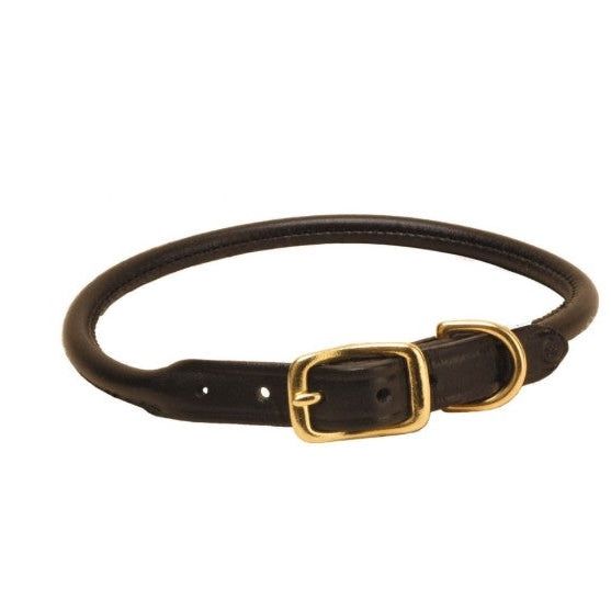 Rolled Leather Dog Collar