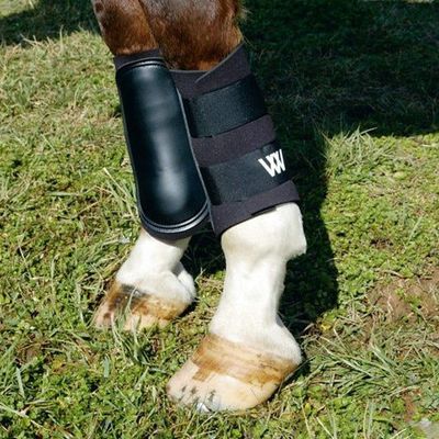 Brushing Boots (pair)