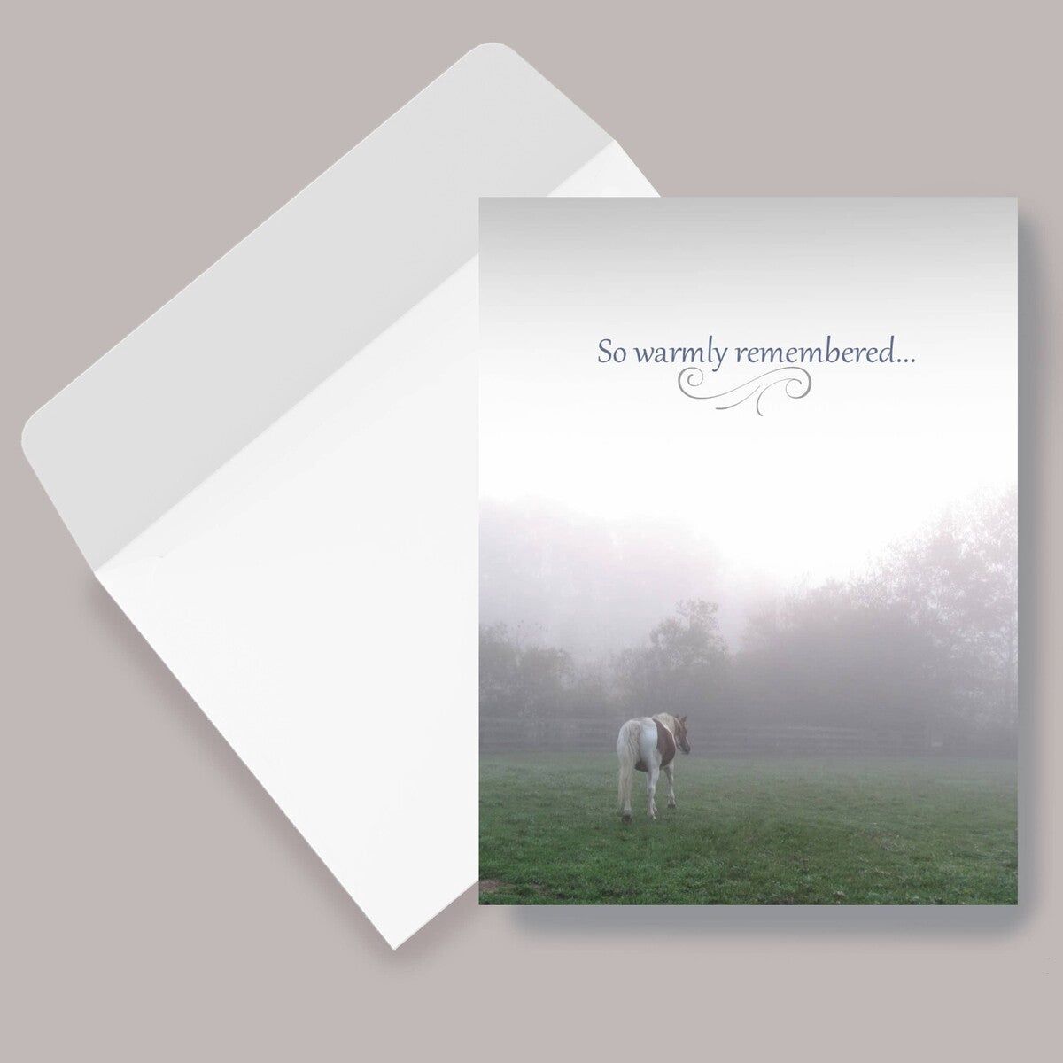 Sympathy Card - So Warmly Remembered...