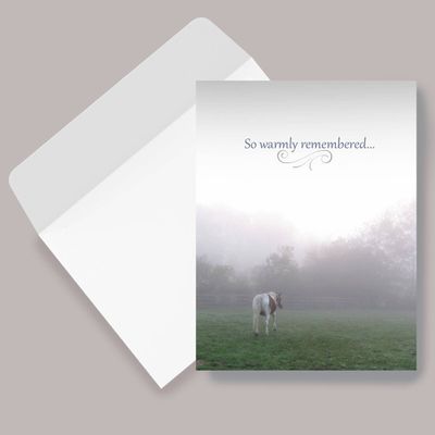 Sympathy Card - So Warmly Remembered...