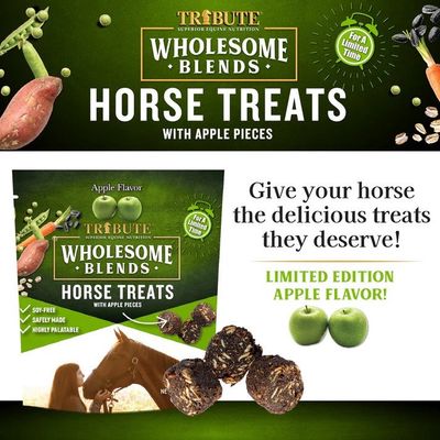 Wholesome Blends® Apple Horse Treats