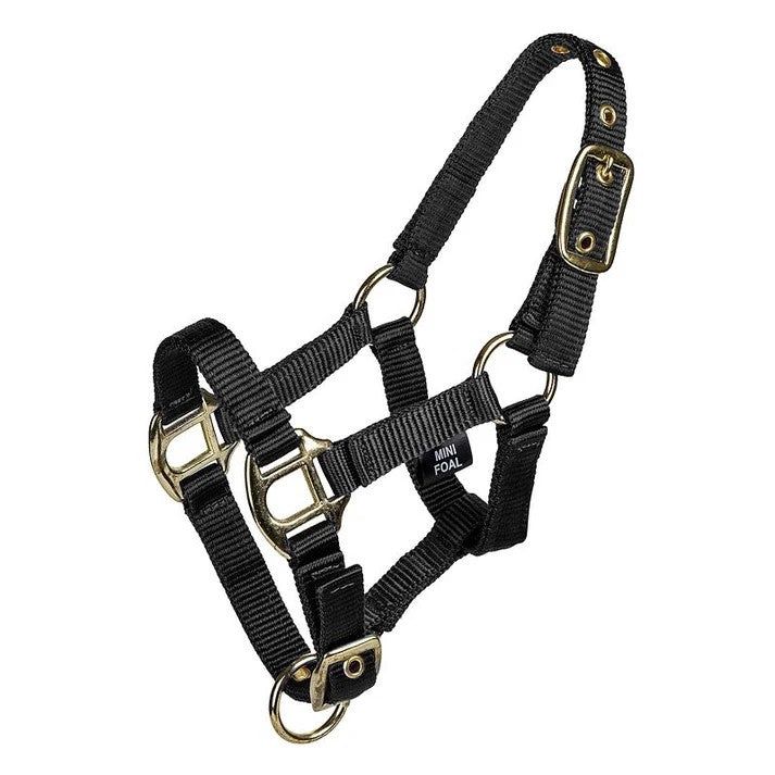 3/4" 2-ply Nylon Mini Halter, Color: black-2, Size: Mini Med/Avg