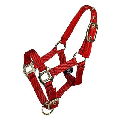 3/4" 2-ply Nylon Mini Halter