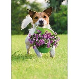 Avanti Greeting Cards - Thank You
