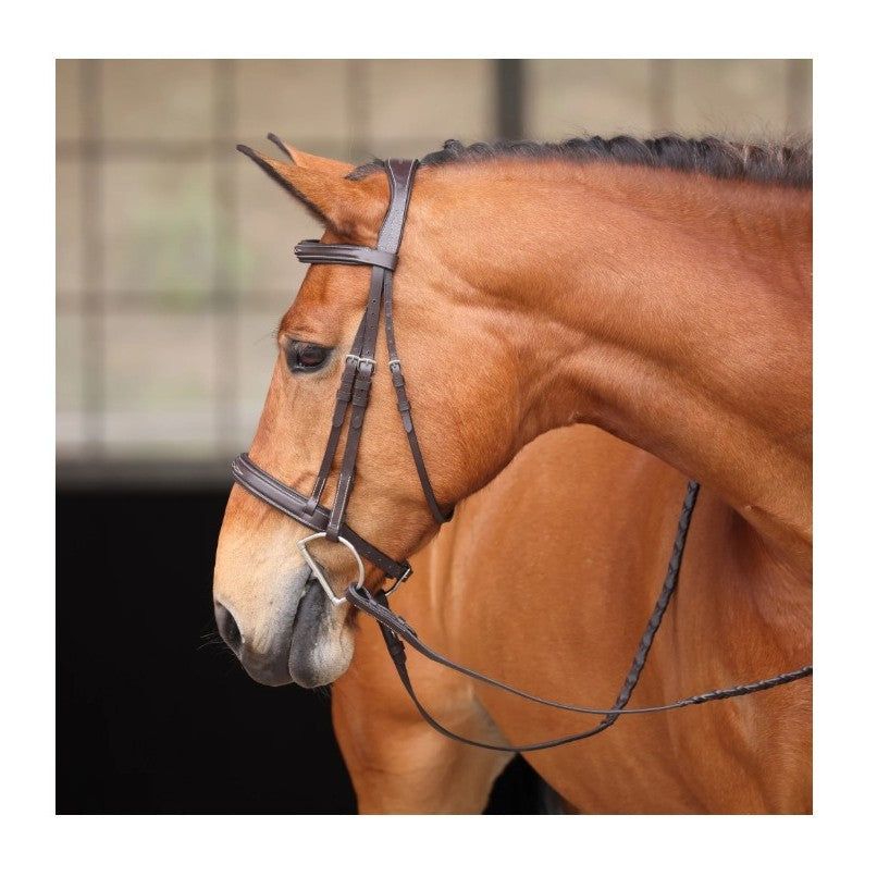Avignon Wellington Bridle
