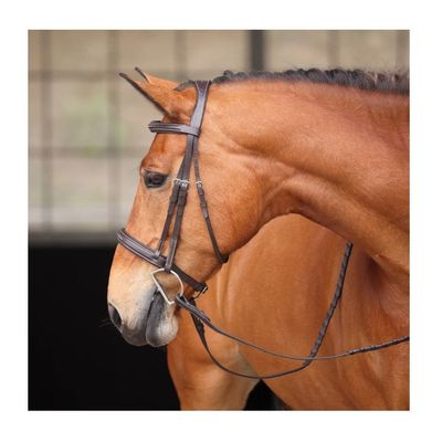 Avignon Wellington Bridle