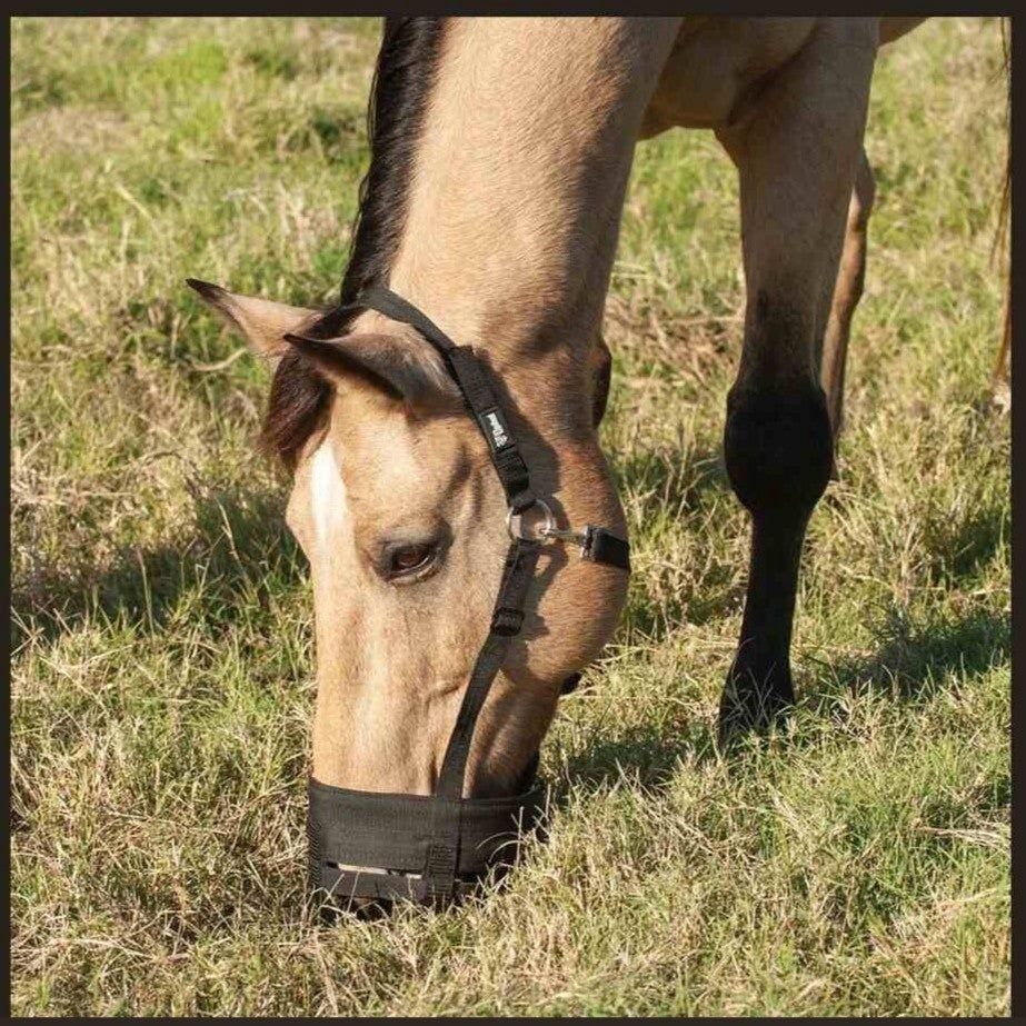Grazing Muzzle Halter, Color: black-2, Size: Horse
