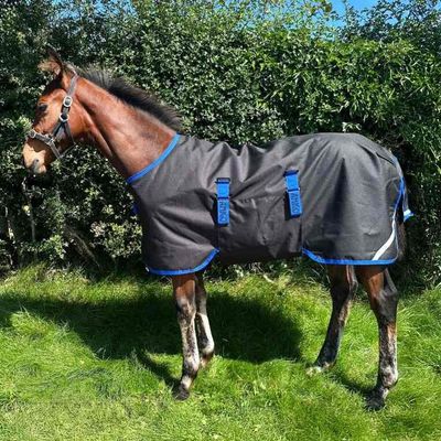 Amigo® Ripstop 900D Foal T/O 200g