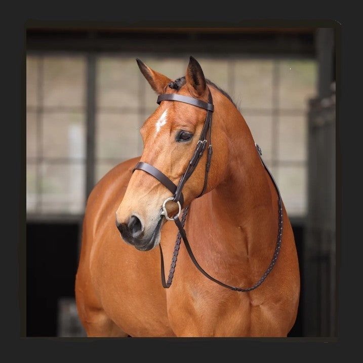 Avignon Middleburg Bridle, COLORS: havana, Size: X-Full