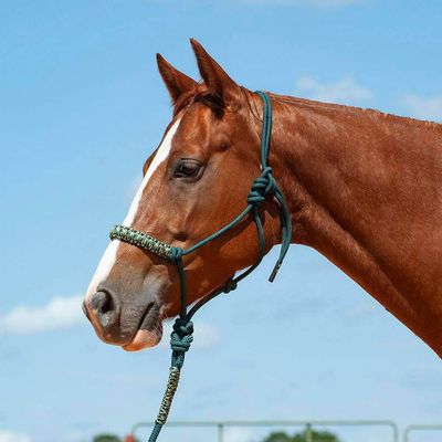Camo Braided Rope Nose Halter w/ Lead